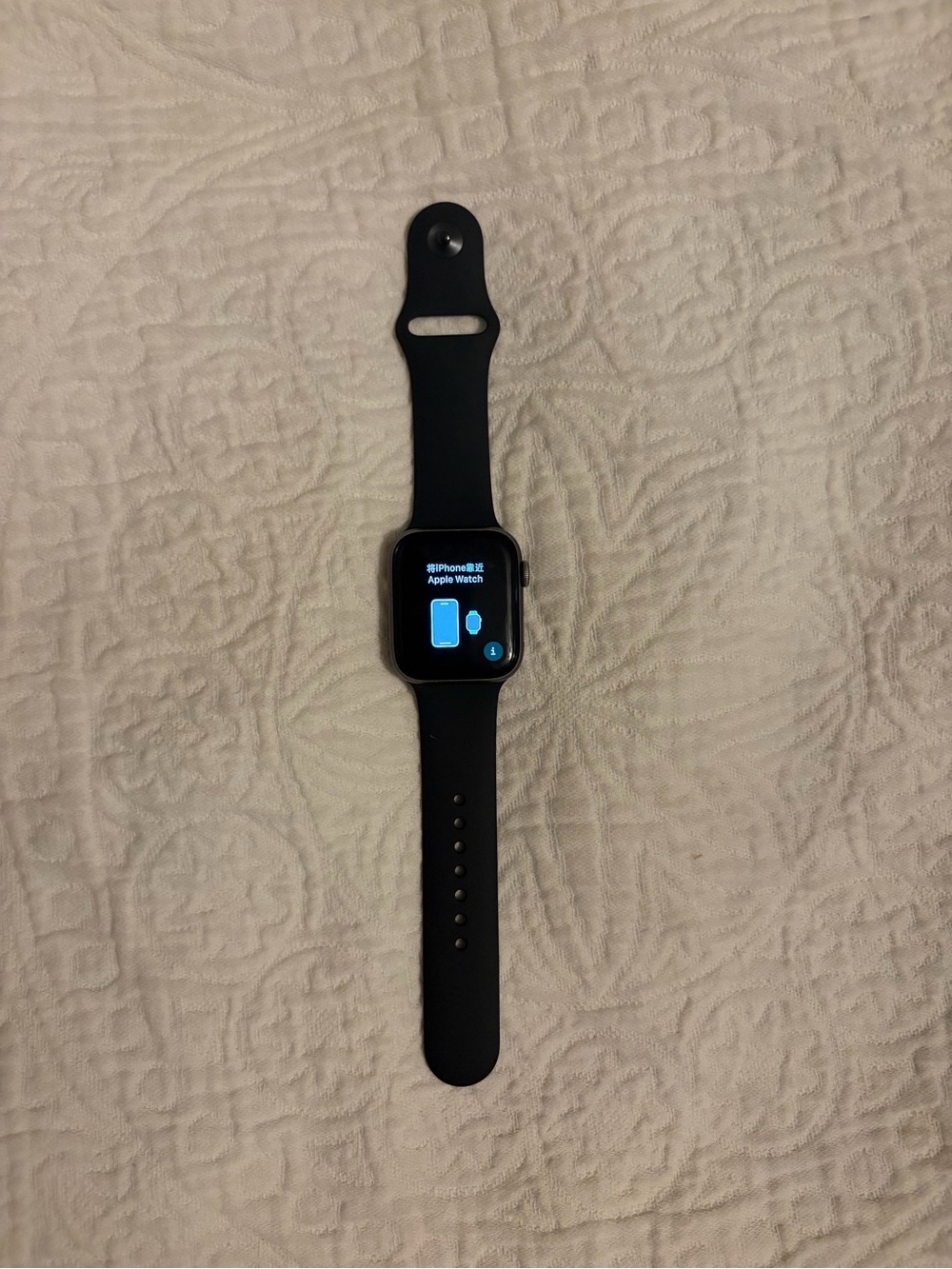Apple Watch Series 5 (44 mm with GPS + cellular)
